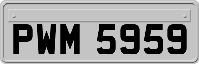 PWM5959