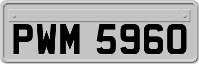 PWM5960