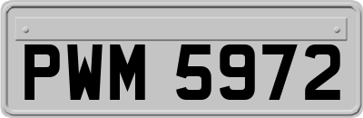 PWM5972