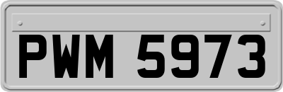 PWM5973