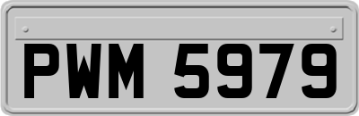 PWM5979