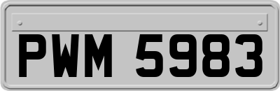 PWM5983