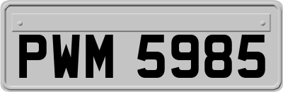 PWM5985