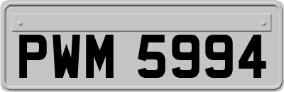 PWM5994