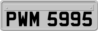 PWM5995