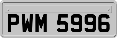 PWM5996