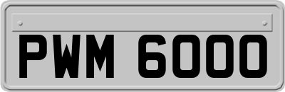 PWM6000