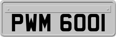 PWM6001