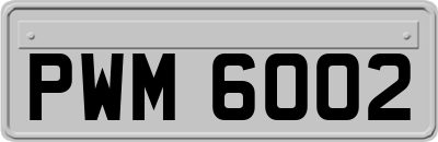 PWM6002