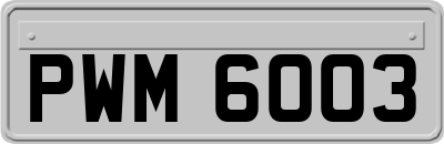 PWM6003