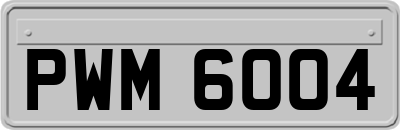 PWM6004