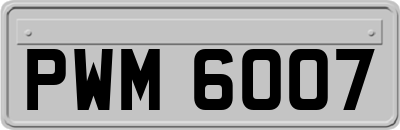 PWM6007