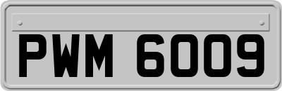 PWM6009