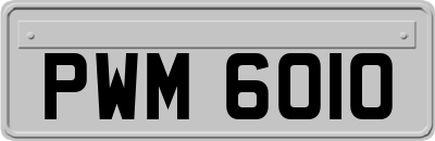 PWM6010