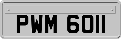 PWM6011