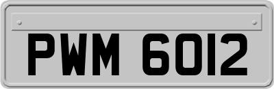 PWM6012