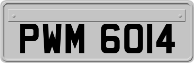 PWM6014