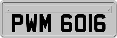 PWM6016