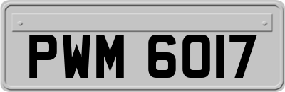 PWM6017