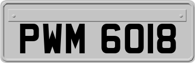 PWM6018