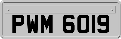 PWM6019