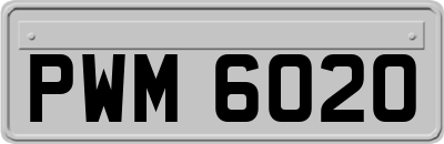 PWM6020