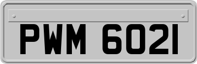 PWM6021