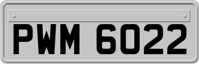 PWM6022