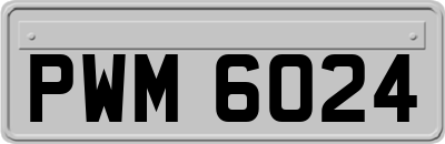 PWM6024