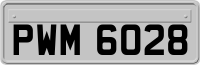 PWM6028