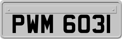 PWM6031