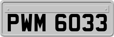 PWM6033