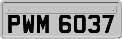 PWM6037