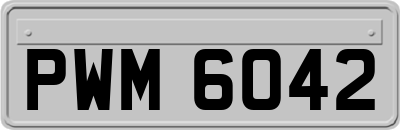 PWM6042