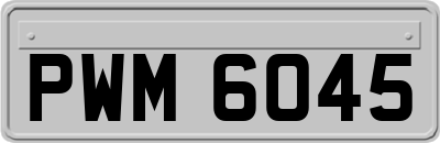 PWM6045