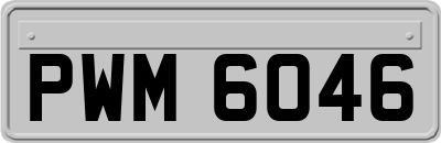 PWM6046