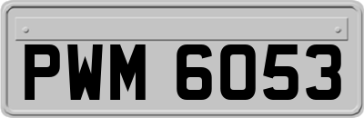 PWM6053