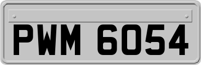 PWM6054