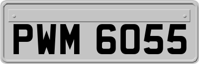 PWM6055