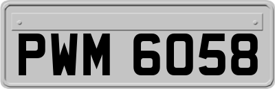 PWM6058