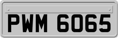 PWM6065