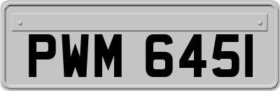 PWM6451