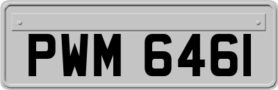 PWM6461