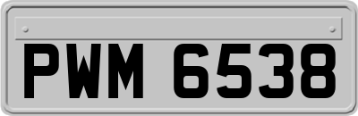 PWM6538