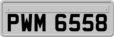 PWM6558