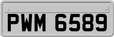 PWM6589