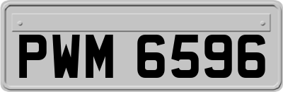 PWM6596