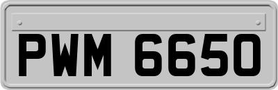 PWM6650