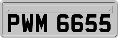 PWM6655