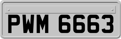 PWM6663